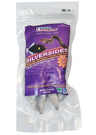 Ocean Nutrition: Frozen Silversides