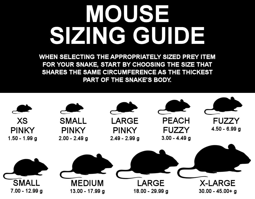 Frozen Feeder Mouse