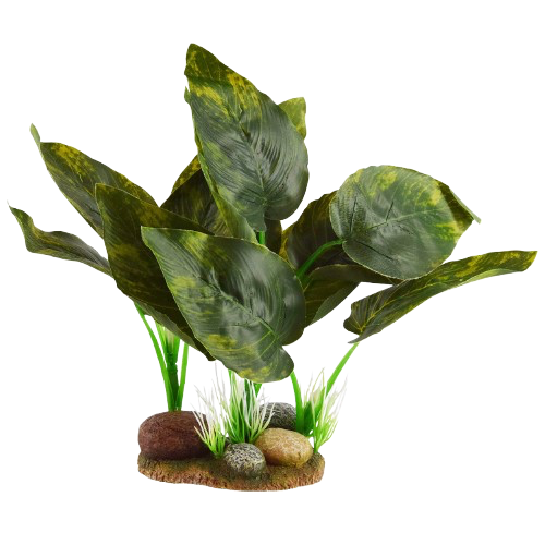 UT: Marble Pothos