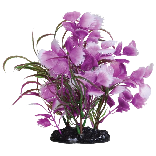 UT: Moon Fuscia - Small