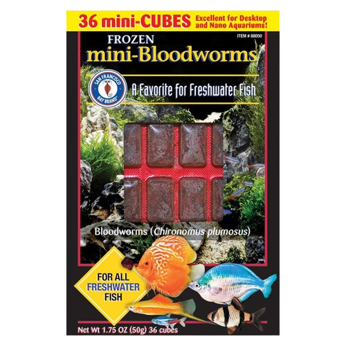San Francisco: Mini Bloodworms