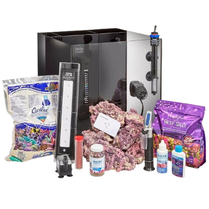 HelloReef: Clownfish & Anemone Aquarium Kit