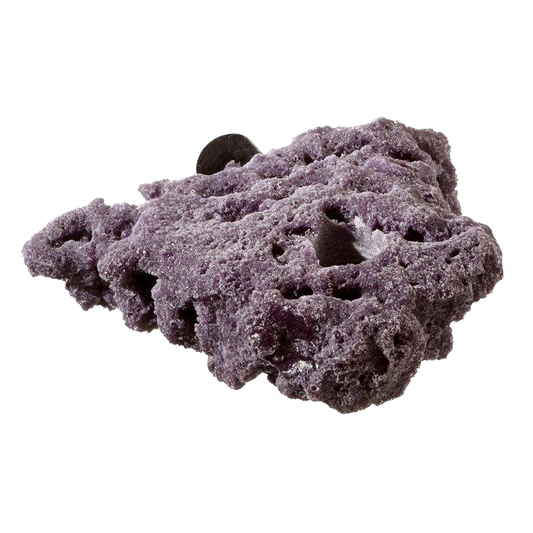 Reef Rax: Purple Nano Shelf Single Magnetic Frag Rack