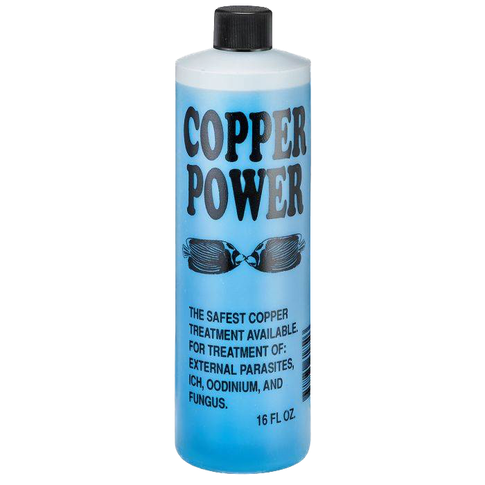 Endich: Copper Power