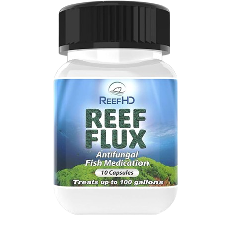 ReefHD: Reef Flux Fluconazole Treatment