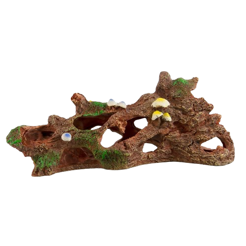 UT: Forest Floor Log