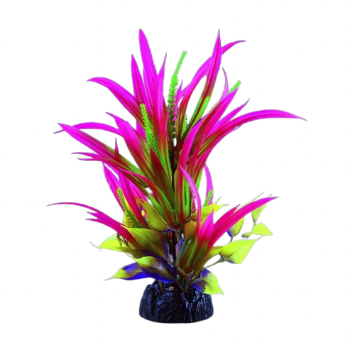 UT: Glo Pink Sagitaria - Large