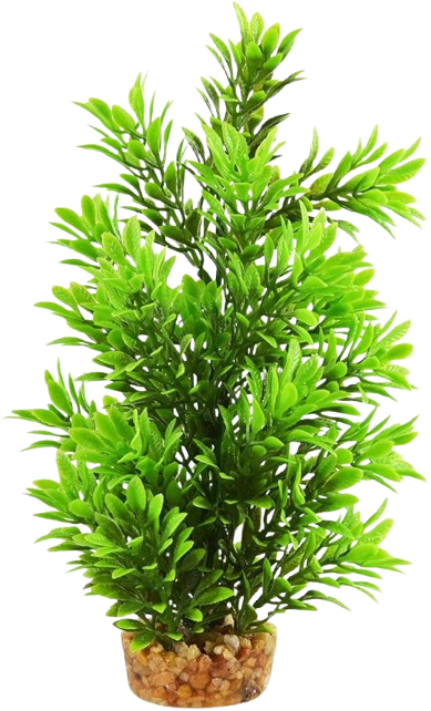 UT: Hygro Tree - 8”