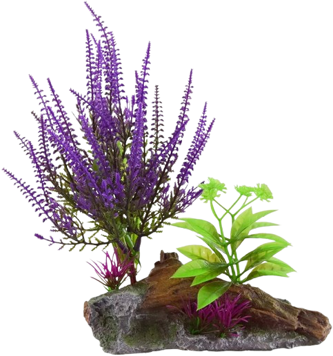 UT: Lilac On Root