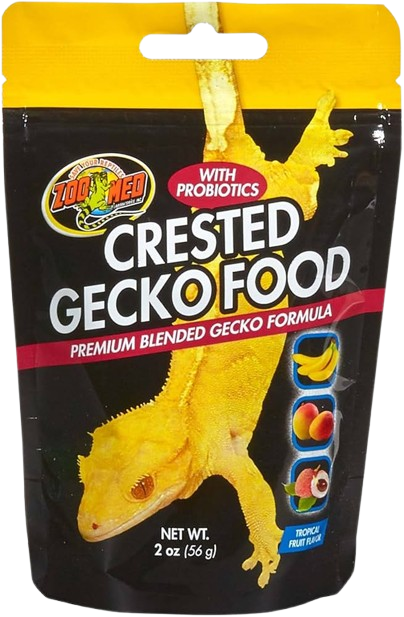 Zoomed: Crested Gecko