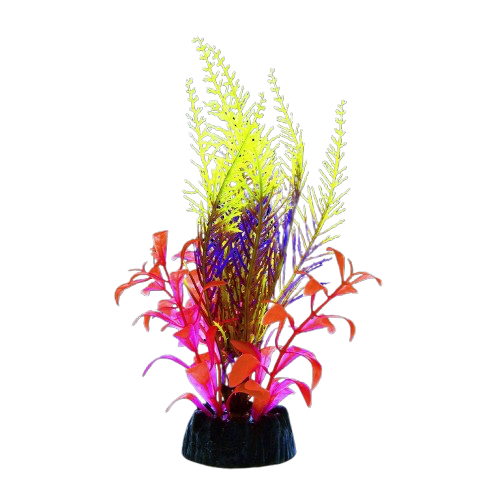 UT: Green Glo Fern - Medium