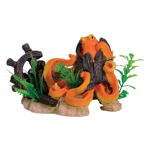 UT: Octopus Shipwreck