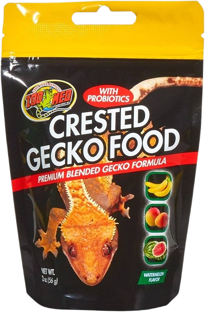 Zoomed: Crested Gecko