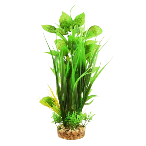 UT: Grassy Ludwigia - 12”