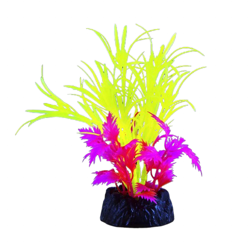 UT: Glo Green Star Grass - Small