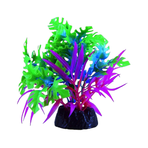 UT: Glo Blue Anubias