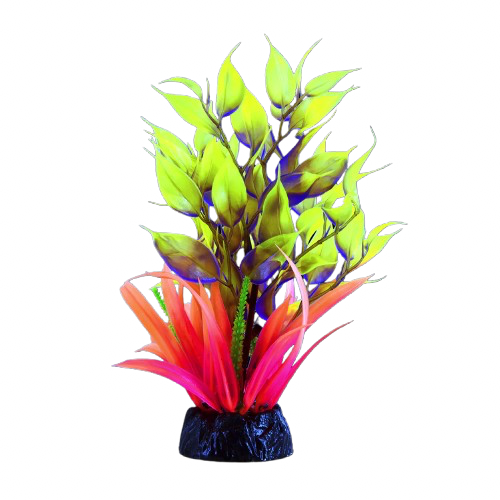 UT: Glo Blue Ludwigia - Large
