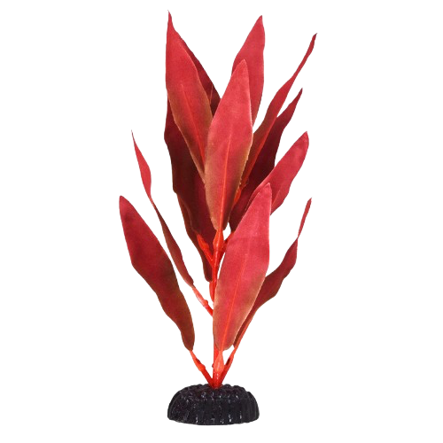 UT: Red Silk Hygro - 8”