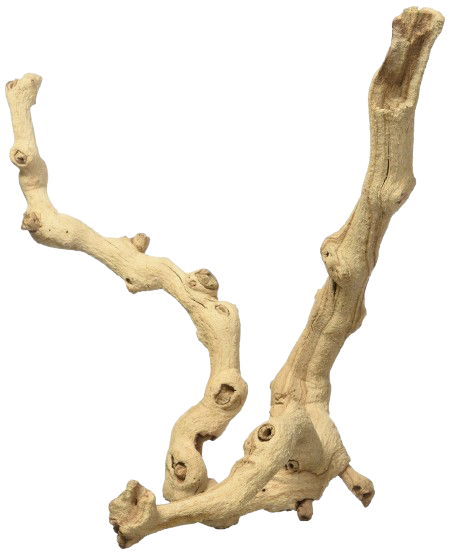 Zoomed: Sand Blasted Grapevine