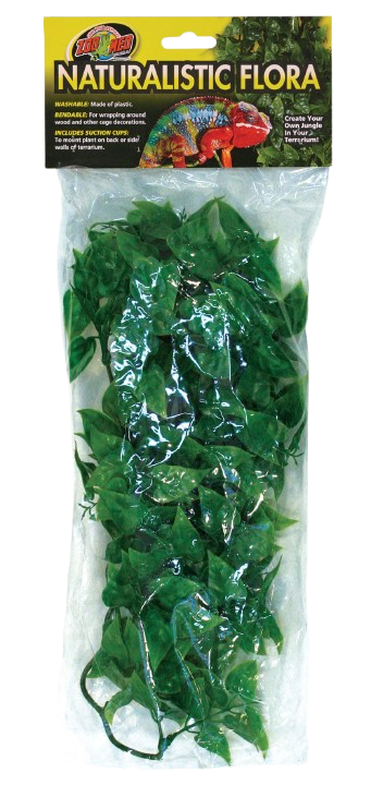 Zoomed: Mexican Phyllo