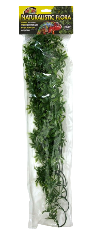 Zoomed: Cannabis