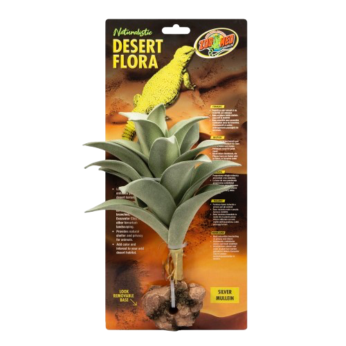 Zoomed: Desert Flora