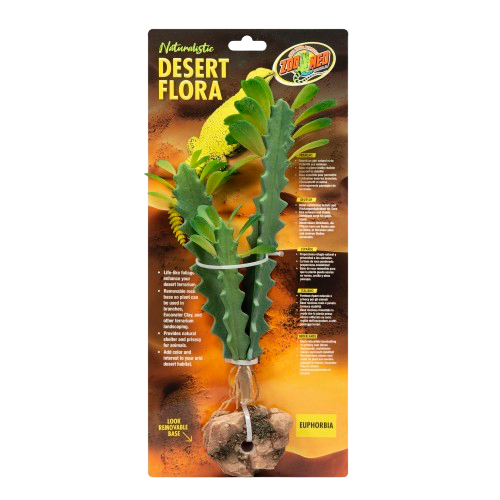 Zoomed: Desert Flora