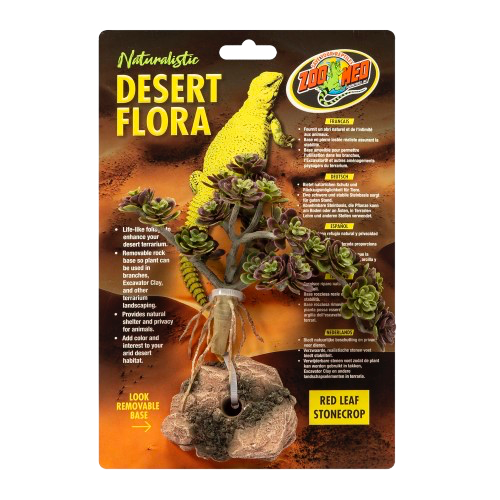 Zoomed: Desert Flora