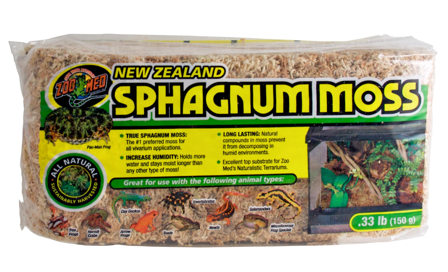 Zoomed: New Zealand Sphagnum Moss