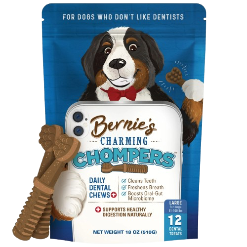 Bernie's: Charming Chompers