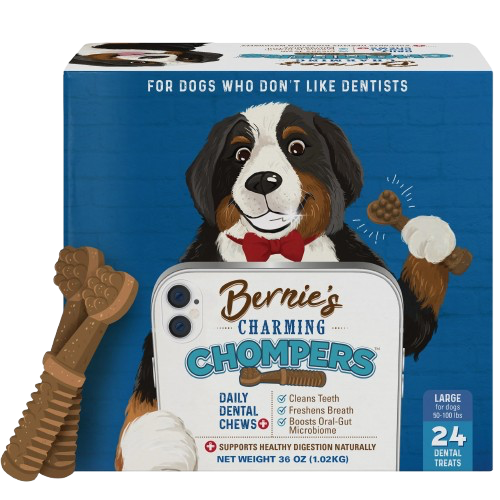 Bernie's: Charming Chompers