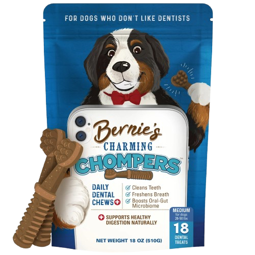 Bernie's: Charming Chompers