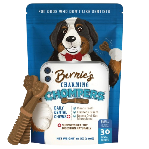 Bernie's: Charming Chompers