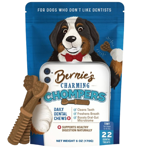Bernie's: Charming Chompers