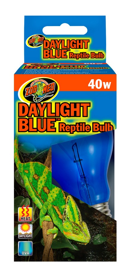 Zoomed: Daylight Blue