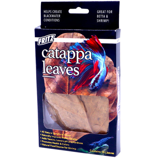 Fritz: Catappa Leaves - 10 Pack