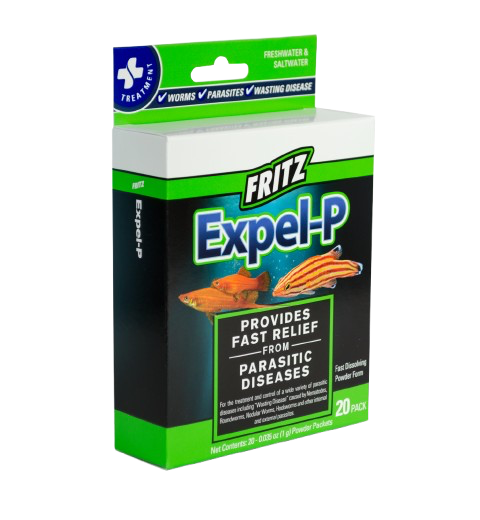 Fritz: Expel P