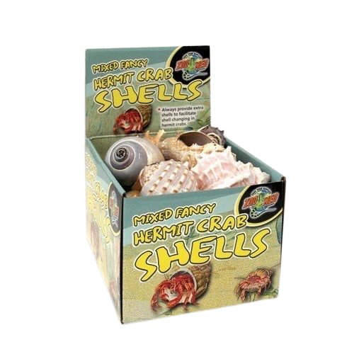 Fancy Hermit Crab Shells