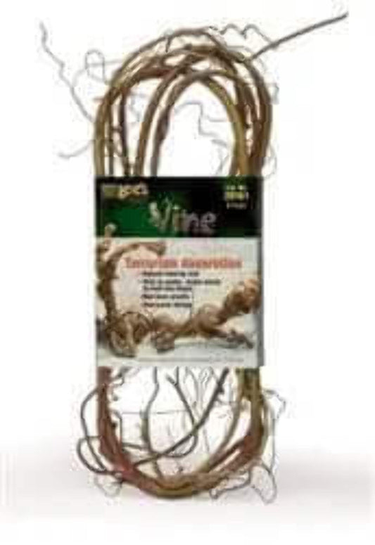 Lee's Aquarium Product: Vine