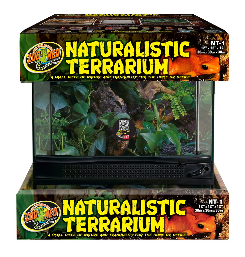 Zoomed: Naturalistic Terrarium