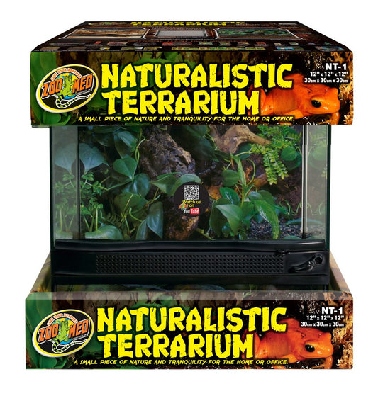 Zoomed: Naturalistic Terrarium