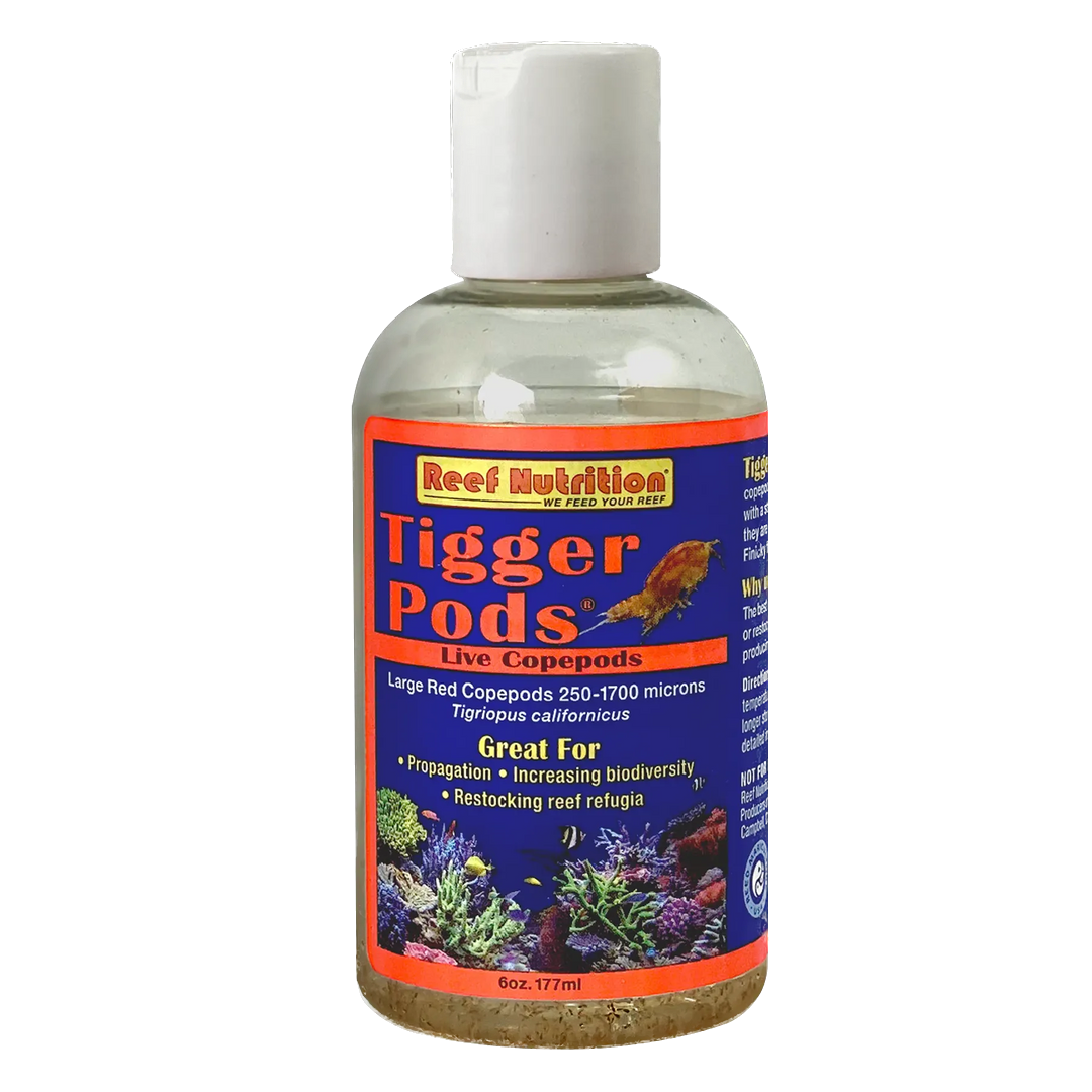 Reef Nutrition: 6oz