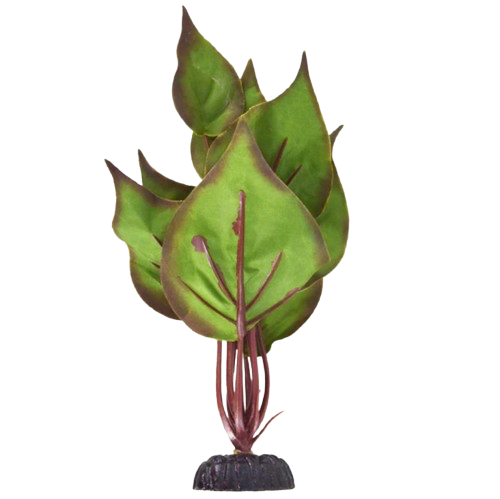 UT: Peace Lily