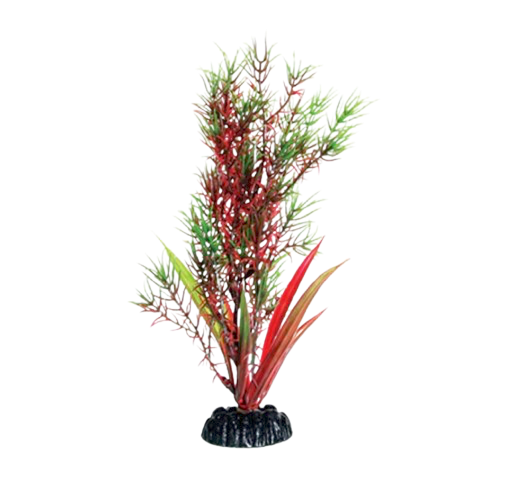 UT: Red/Green Springeri