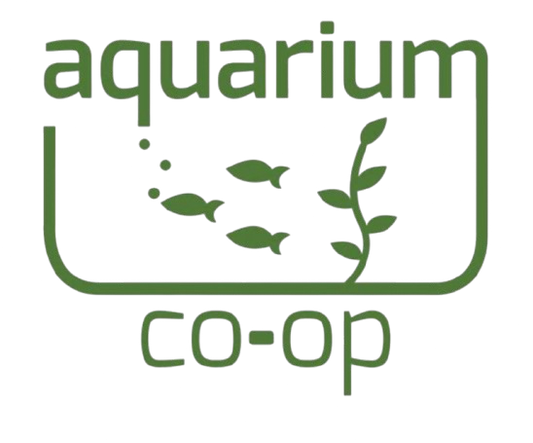 Aquarium