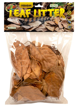 Zoomed: Jackfruit Leaf Litter