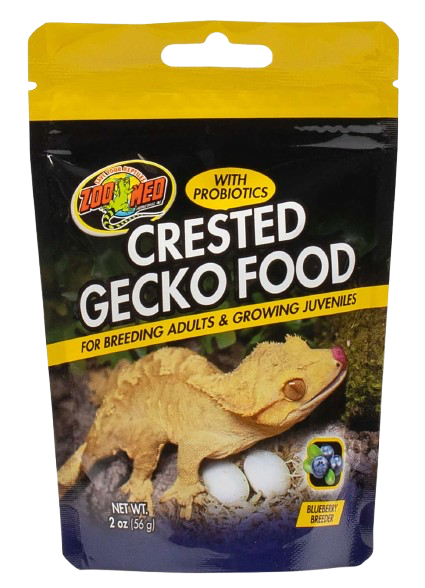 Zoomed: Crested Gecko