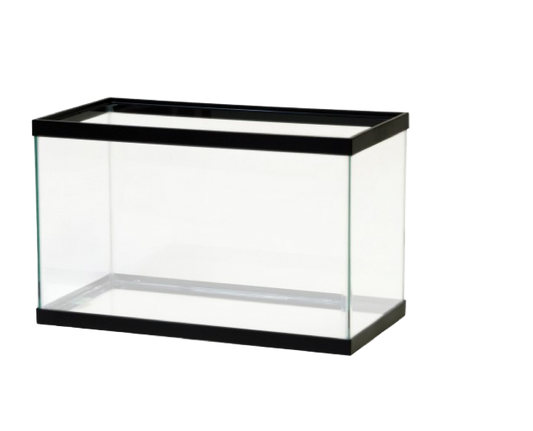 Aqueon: 10 Gallon