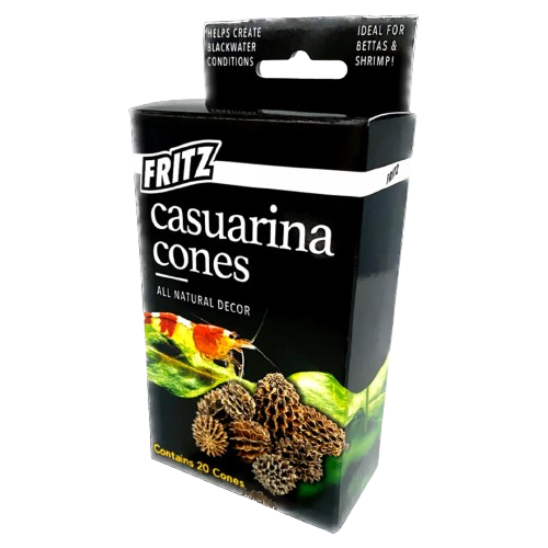 Fritz: Casuarina Cones