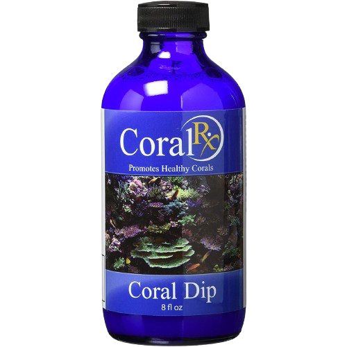 Coral Rx: Coral Dip